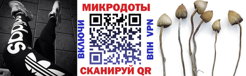 цена   Орлов  mega как войти  Псилоцибиновые грибы Cubensis 